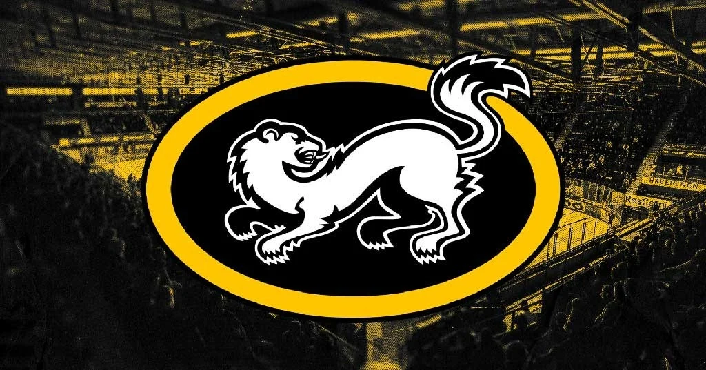 Kärpät