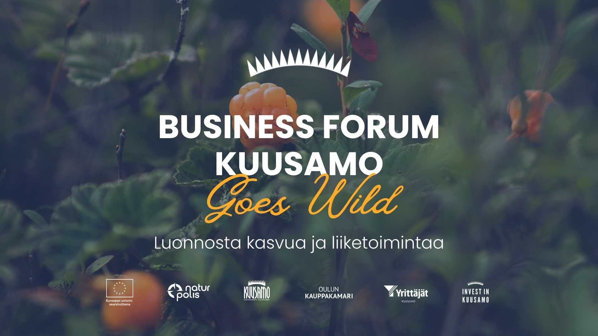 BUSINESS FORUM KUUSAMO GOES WILD - Luonnosta liiketoimintaa - Naturpolis Oy - Kuusamo - Thursday 10 September 2026